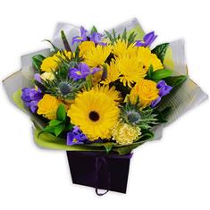 Golden Tones and Violet Hues